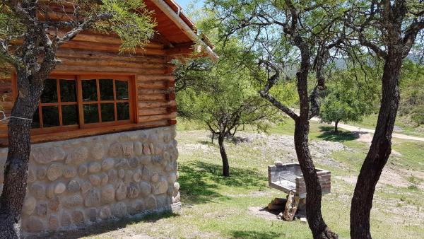 Cabaña de madera con ventana y banco junto a los árboles en Cabañas y Toboganes Rancho la Ñata, en Mina Clavero