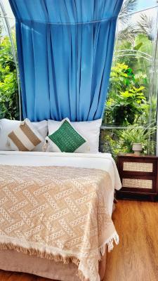 King Room with Spa Bath