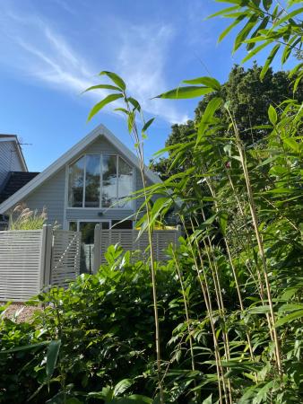 Squirrel accommodation image