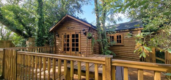 Beautiful 1-Bed Cabin in Newmarket accommodation image