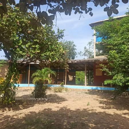 Outdoor area with sandy ground, trees, and a building with blue trim under a clear sky