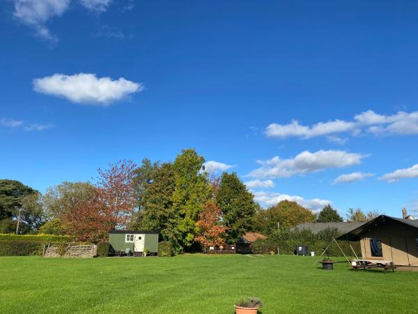 Dawn Chorus Holidays accommodation image