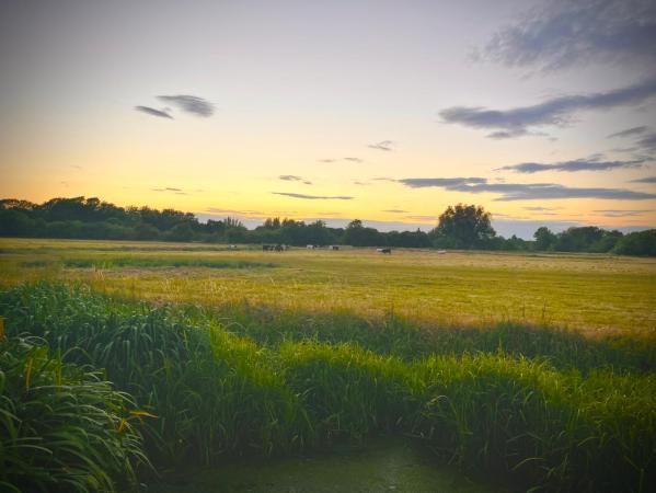 Valley View accommodation image