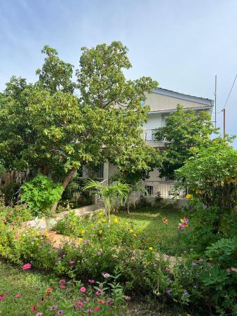 Mount Pleasant accommodation image