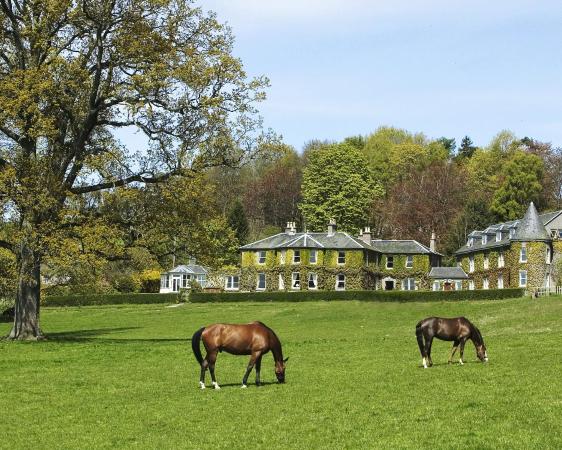 Two horses grazing on green lawn with large ivy-covered stone buildings and trees in background