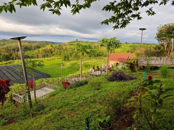 Natural House Farm Stay accommodation image