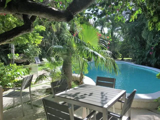  Siboney Beach Club - picture  : Swimming pool,Garden,Swimming pool,Property 