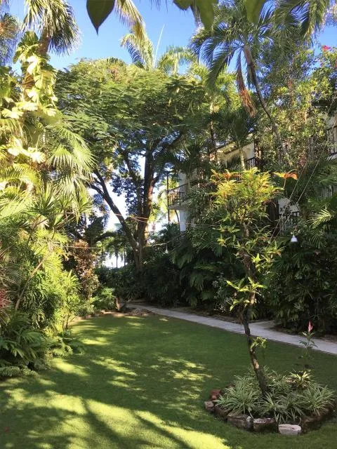  Siboney Beach Club - picture  : Garden,Garden,Property 
