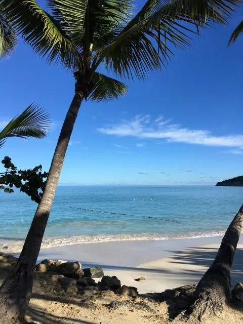  Siboney Beach Club - picture  : Beach,Beach,Property 