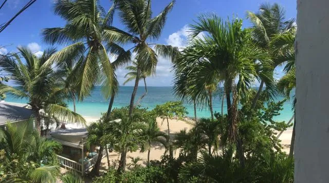  Siboney Beach Club - picture  : Beach,Garden view,Sea view,Property 