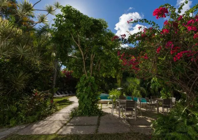  Siboney Beach Club - picture  : Garden,Swimming pool,Property 