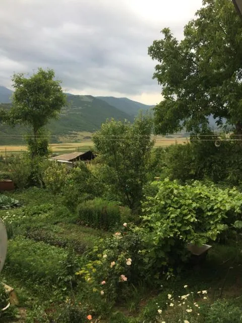  Anush`s B&B - picture  : Breakfast,Property 