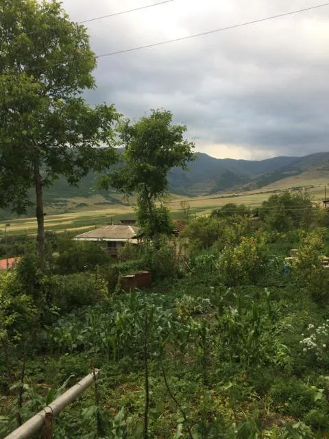  Anush`s B&B - picture  : Breakfast,Property 