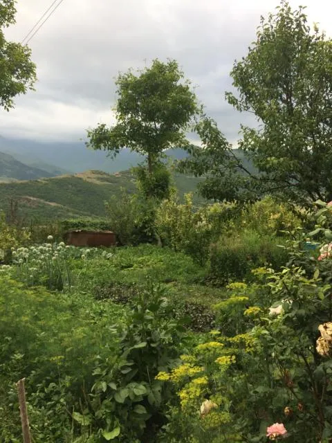  Anush`s B&B - picture  : Natural landscape 