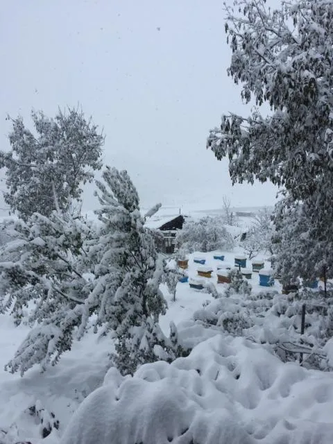  Anush`s B&B - picture  : Shower,Property building 