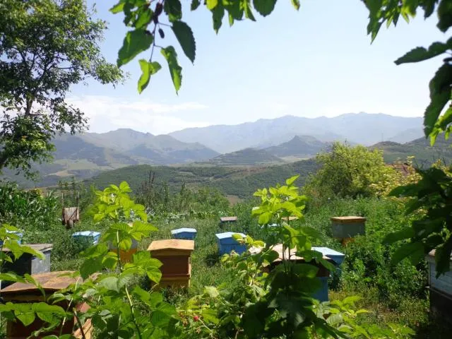  Anush`s B&B - picture  : Mountain view 