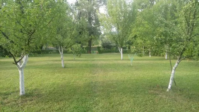  Kuca Delić - picture  : Property building,Garden,Property 