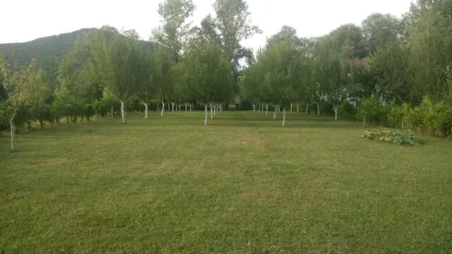  Kuca Delić - picture  : Aqua park,Property 