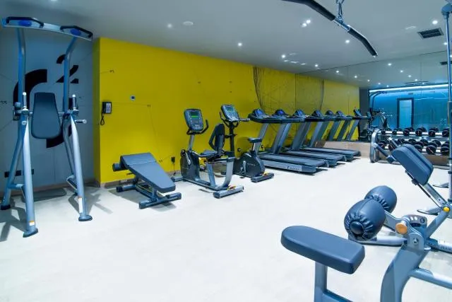  Messier 53 Hotel Yerevan - picture  : Fitness centre/facilities,Property 