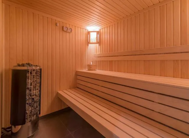  Messier 53 Hotel Yerevan - picture  : Sauna,Property 