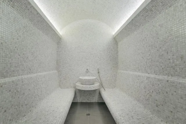  Messier 53 Hotel Yerevan - picture  : Sauna,Property 