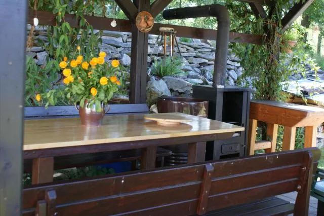  U Macháčků - Lipno - picture  : BBQ facilities,Garden,Property 