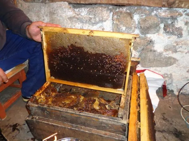  Anush`s B&B - picture  : BBQ facilities 