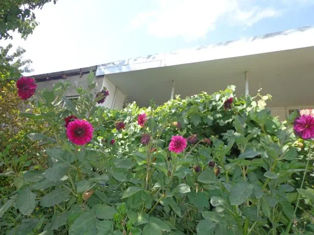  Anush`s B&B - picture  : Garden,Property building 