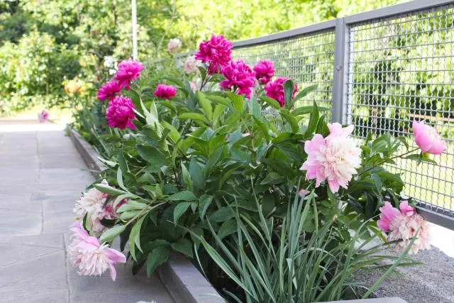  Lusya B&B - picture  : Bedroom,Property 