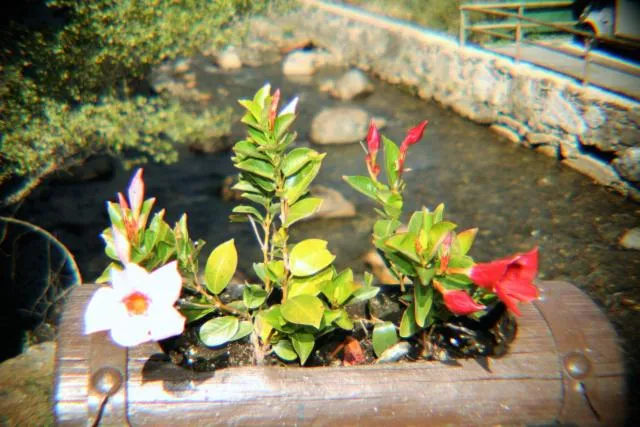  Hotel Sucara - picture  : Aqua park,Property 