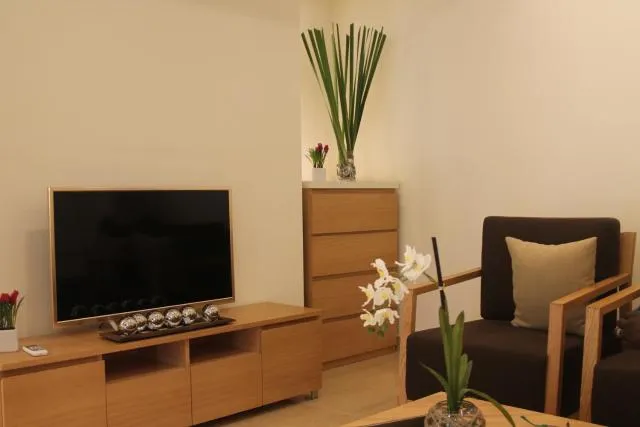  Harbour Island Residences - picture  : TV/entertainment centre,TV and multimedia,Living room,Property 