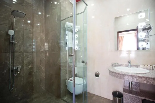  Central Hotel Yerevan - picture  : Shower,Toilet,Bathroom,Bathroom,Property 