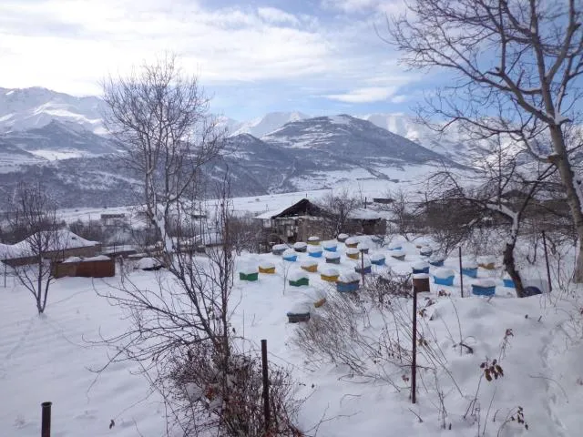  Anush`s B&B - picture  : Shower,Property building 