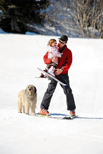  Pierre & Vacances Andorra Alba - picture  : Skiing,Pets,Family,Property 