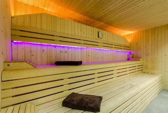  Hotel Panorama - picture  : Sauna,Property 