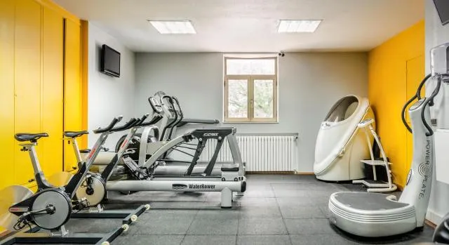  Hotel Panorama - picture  : Fitness centre/facilities,Fitness centre/facilities,Property 