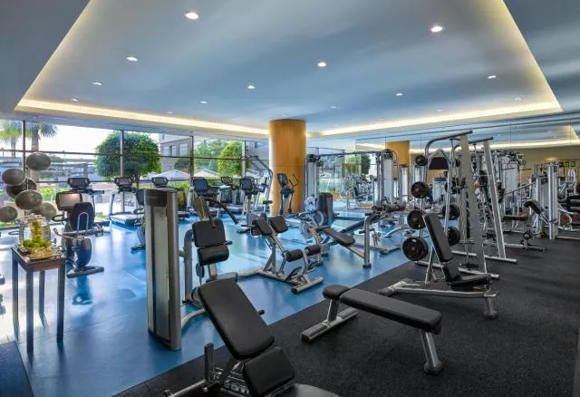  Swissôtel Al Ghurair Dubai - picture  : Fitness centre/facilities,Fitness centre/facilities,Property 