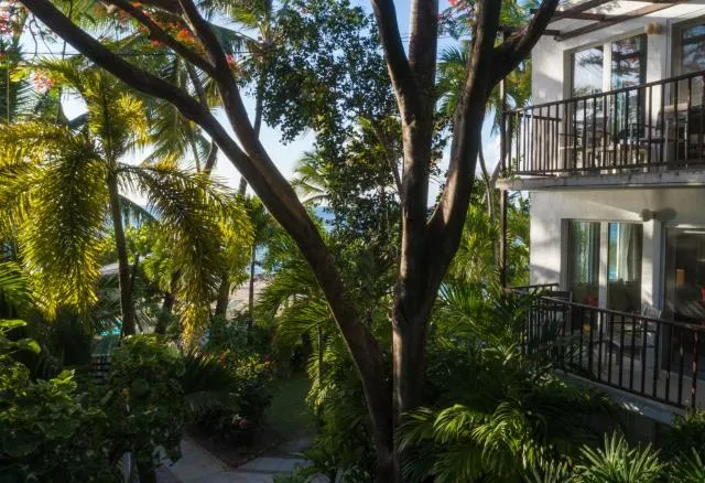  Siboney Beach Club - picture  : Garden,Property 