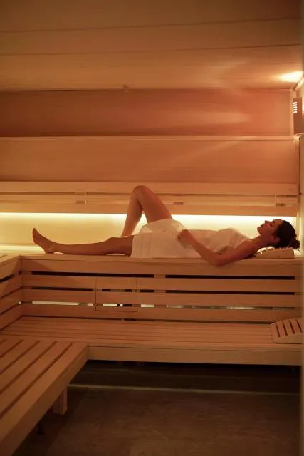  Hotel Ski Plaza & Wellness - picture  : Sauna,Property 