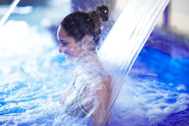  Hotel Ski Plaza & Wellness - picture  : Swimming pool,Other animals,Swimming pool,Property 