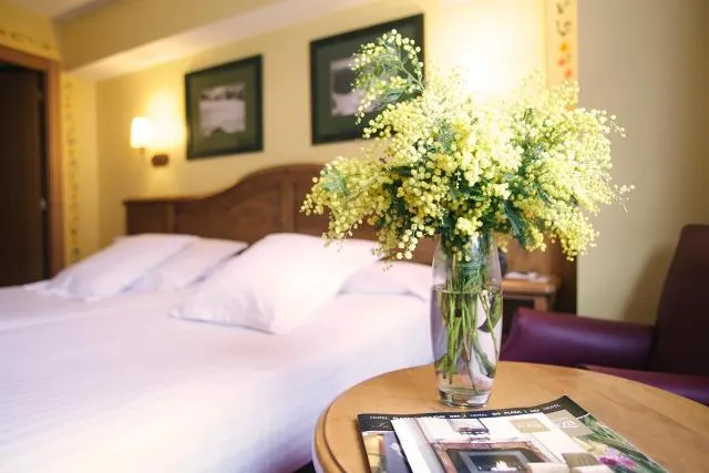  Hotel Ski Plaza & Wellness - picture  : Bed,Bed,Bedroom,Property,Room 