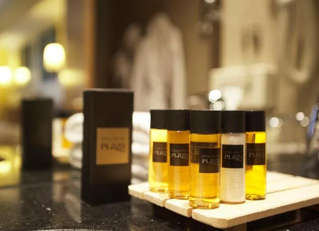  Hotel Ski Plaza & Wellness - picture  : Bathroom,Property 