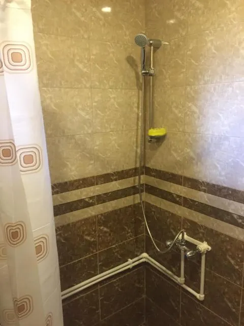  Anush`s B&B - picture  : Bathroom 