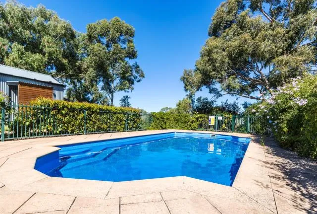  Barossa Valley View Guesthouse - picture  : Swimming pool,Swimming pool,Property 