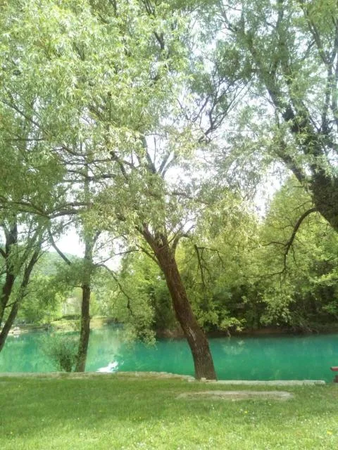  Kuca Delić - picture  : Garden,River view,Property 