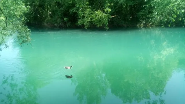  Kuca Delić - picture  : River view,Property 