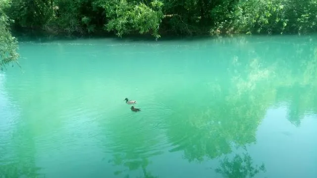  Kuca Delić - picture  : River view,Property 