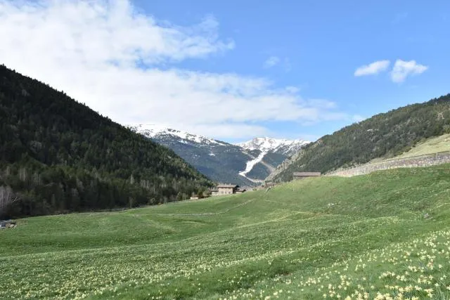  Hotel Galanthus & Spa - picture  : Bathroom,Natural landscape,Summer,Other,Hiking,Property 