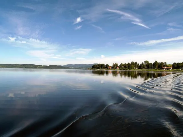  JBX Resort Apartments Lipno - picture  : Fishing,Windsurfing,Property 