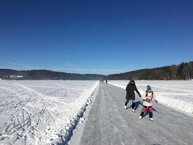  JBX Resort Apartments Lipno - picture  : Aqua park,Sports,Property 